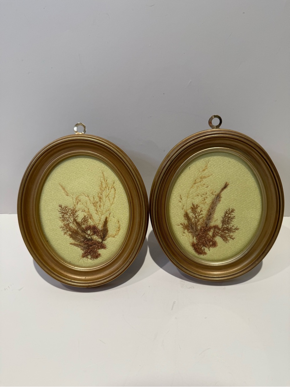 Set of 2 Vintage Oval Framed Pressed Dried Flowers Wall Art Pair Gold Frame Bota